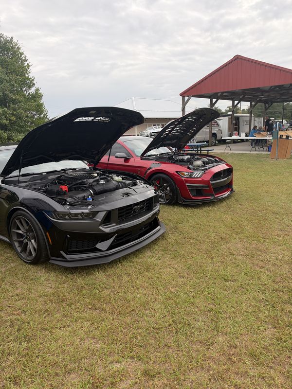 Two Ford Mustangs with their hoods up on display on the grass at the 46th Annual Mustang & Ford Show in Elgin, SC